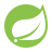 SASS icon